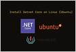 Como instalar o Dotnet Core no Ubuntu 20.04 LTS digistar